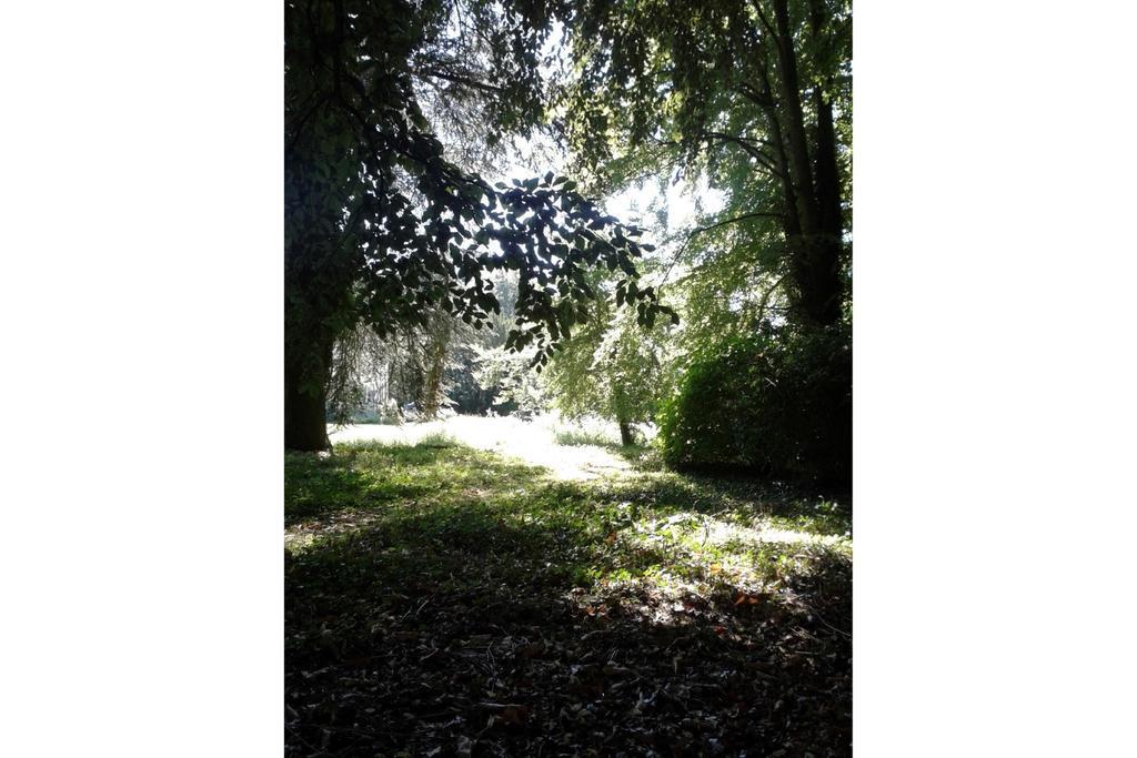 Bulmer Tye House Middleton  Dış mekan fotoğraf