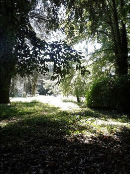 Bulmer Tye House Middleton  Dış mekan fotoğraf
